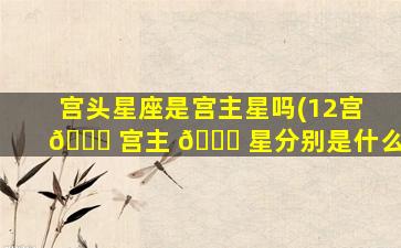 宫头星座是宫主星吗(12宫 💐 宫主 🐅 星分别是什么)